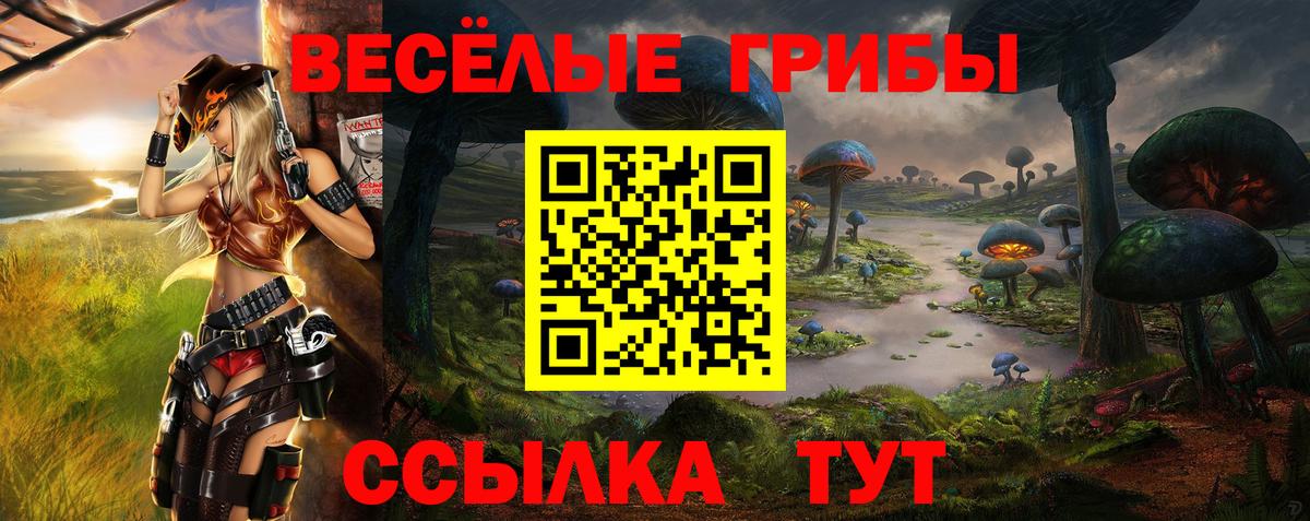 купить  цена  Вход с VPN  Губкин  Псилоцибиновые грибы Magic Shrooms 